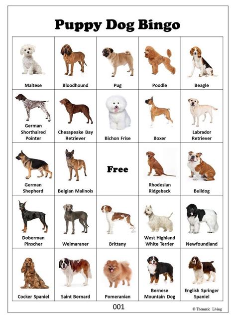 30 Puppy Dog Bingo Cards Dog Birthday Party Game Dog Breeds Dog Lover ...