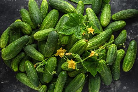 Growing Cucumbers: How and When To Pick Cucumbers (2023)