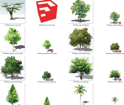 5899. Free Sketchup Trees Model Download