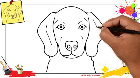 How To Draw A Dog's Face - Considerationhire Doralutz