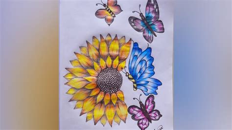 How to draw sunflower and butterfly | Pencil Colour Drawing for ...