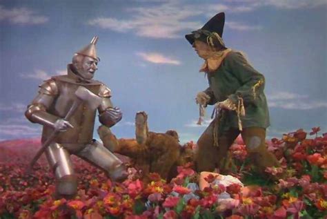 In the Poppy Field | Wizard of oz 1939, The wonderful wizard of oz ...