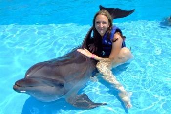 Cool Careers :: Dolphin Trainer