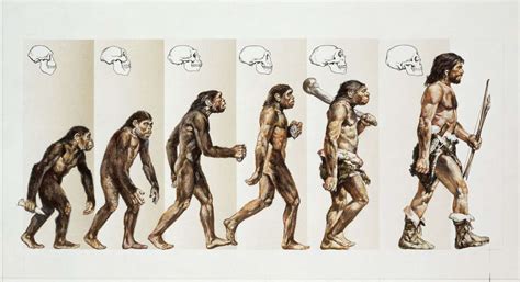 12 Surprising Facts About Evolutionary Biology Techniques - Facts.net