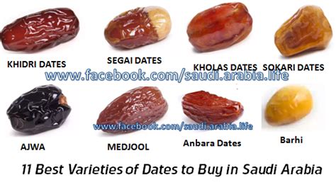 11 Best Varieties of Dates to Buy in Saudi Arabia | Arabian Gulf Life