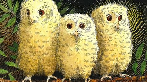 CBeebies Radio - Story Time, Owl Babies