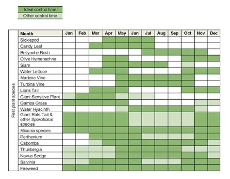 Pest Control Schedule Template