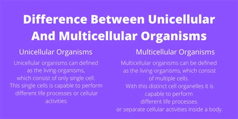 Difference Between Unicellular And Multicellular Organisms in Tabular Form