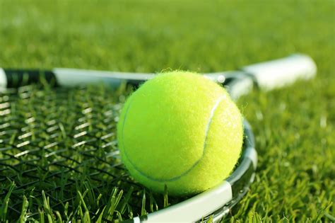 Everything you always wanted to know about tennis surfaces (but were ...