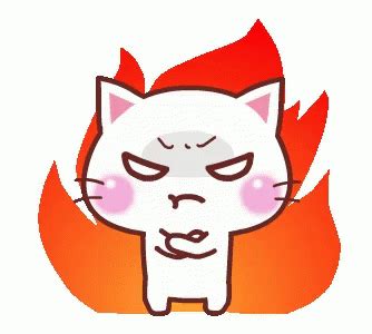 Angry Kitty Sticker - Angry Kitty Cat - Discover & Share GIFs