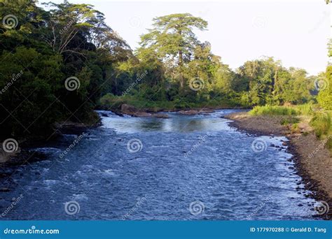 Sarapiqui River 842345 stock photo. Image of selva, shoreline - 177970288