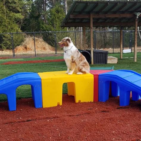 Puppy Playground manufactures Dog Play Equipment and games that ...