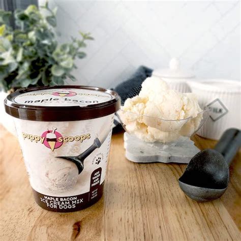 The 7 Best Dog Ice Cream Brands So Your Pup Can Join the Party