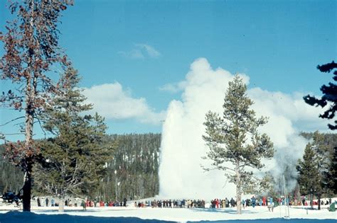 Old Faithful in winter | Favorite places, Old faithful, Outdoor