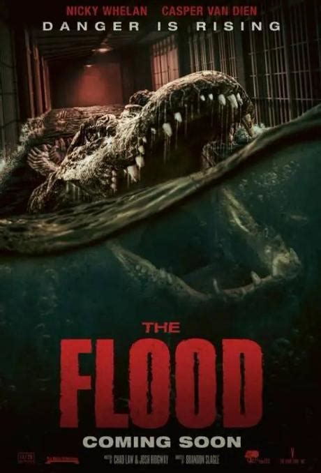 The Flood (2023) Movie Review - Paperblog