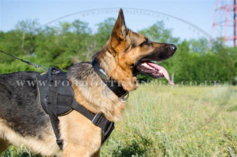 The Best Dog Harness for German Shepherd Puppy and Big Dog - £48.22