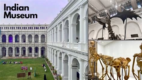 Indian Museum Kolkata | Indian Museum Kolkata Tour | India’s Largest ...