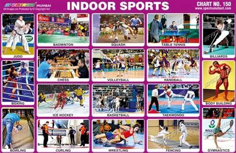 Indoor Sports Chart at best price in Mumbai by Skylark Printers | ID ...