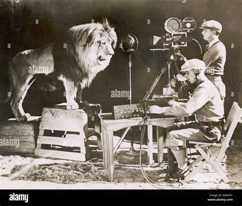 Mgm leo the lion hi-res stock photography and images - Alamy