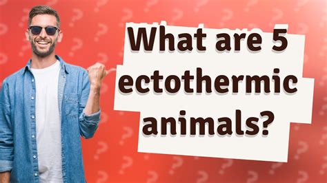 What are 5 ectothermic animals? - YouTube