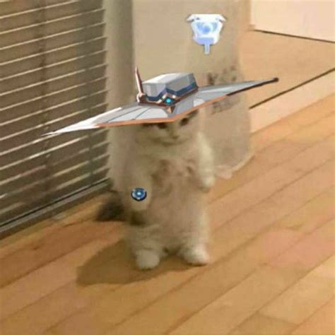 a cat standing on its hind legs with a paper airplane in it's mouth