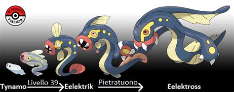 Eelektross | Analisi Pokémon Wiki | Fandom