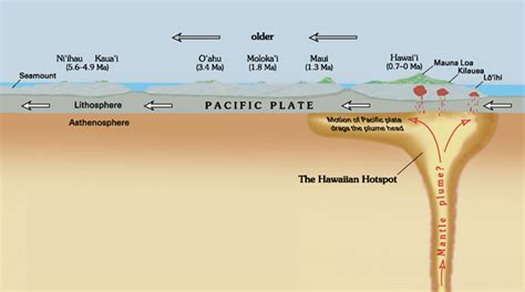 Earth Crust: Oceanic Crust vs Continental Crust - Earth How