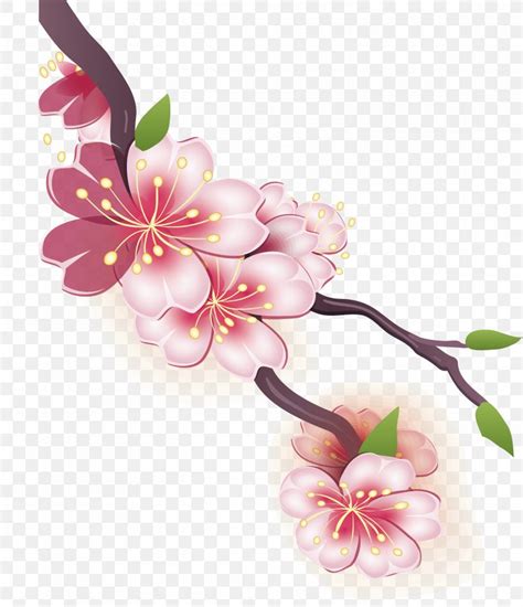 Cherry Blossom Drawing Watercolor Painting, PNG, 3010x3498px, Cherry ...