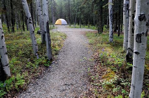 Camping in Denali National Park: BEST Campgrounds in 2024