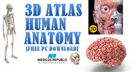 3D Human Anatomy For PC Free Download 2023 [Mac & Windows]