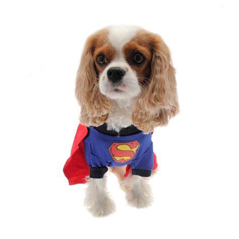 Puppe Love Superhero Dog Costume - Super Dog | BaxterBoo