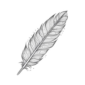 Feather With Birds Drawing