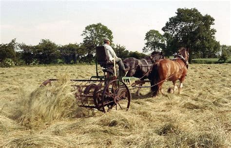 Hay Making with a Single Horse Part 1 - Small Farmer's Journal | Horse ...