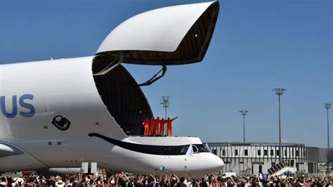 Airbus Beluga Xl Interior - Popular Century