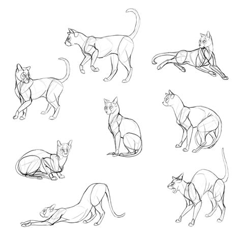 How to Draw Cats: Monika Zagrobelna's Detailed Approach — Monika ...