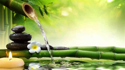 Bí quyết chọn nhạc spa nhẹ nhàng giúp khách thư giãn tốt nhất