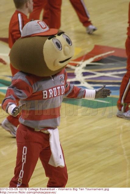 Brutus Buckeye , mascot Ohio State University Buckeyes Che… | Flickr