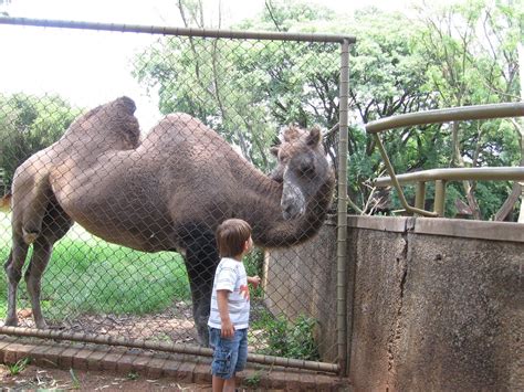 Yo Ali!: Pretoria Zoo