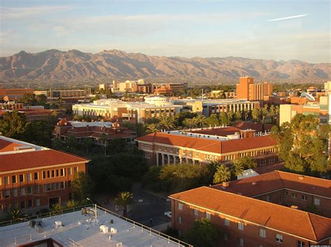 University of Arizona Helps Transgender Studies Take a Bold Leap ...