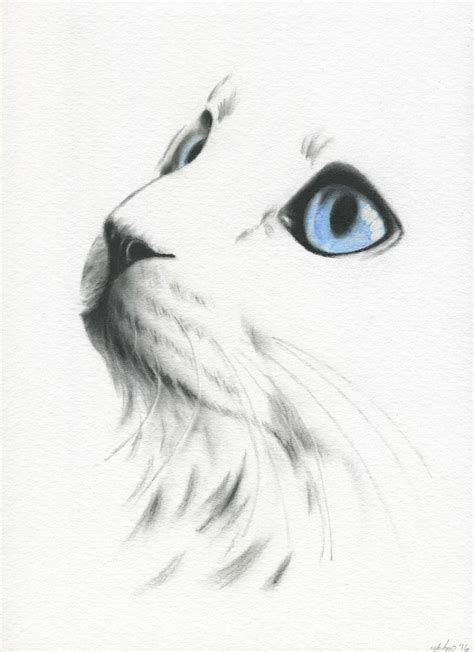 White Cat With Blue Eyes, Cat Sketch, Charcoal Cat Drawing, ORIGINAL ...