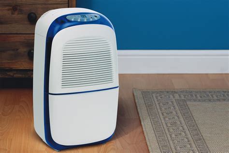 Top 10 Best Dehumidifiers for Home Reviews | Home, Dehumidifier, Fall decor