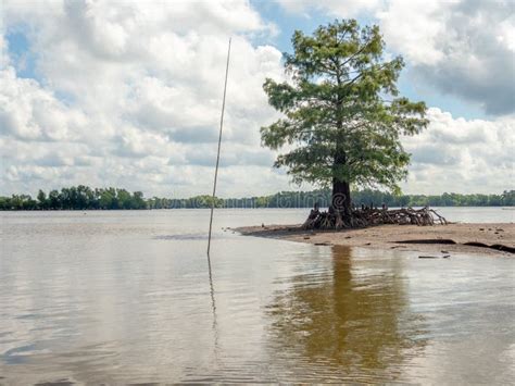 Atchafalaya National Wildlife Refuge Stock Image - Image of louisiana ...