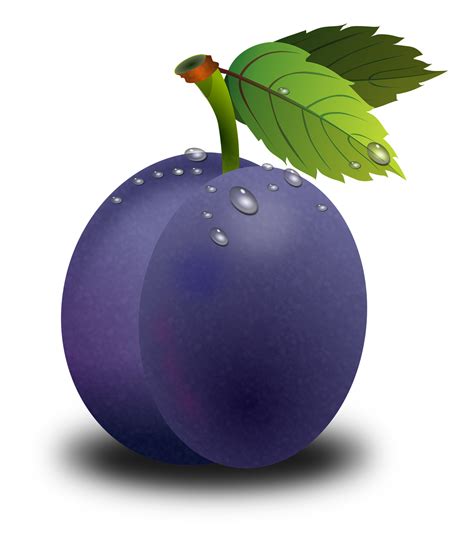 Purple plum 1661x1920 Fruit Clipart, Food Clipart, Watercolor Fruit ...