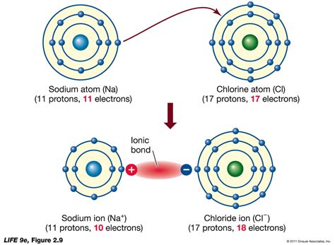 [DIAGRAM] Types Of Bonding Diagram - MYDIAGRAM.ONLINE