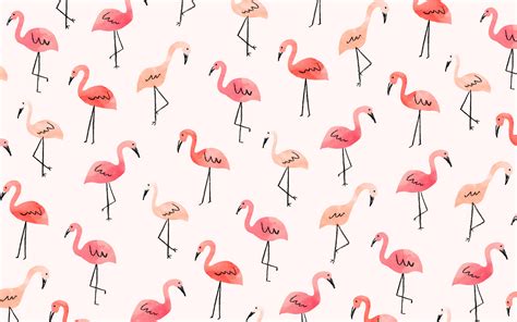 🔥 [20+] Cute Flamingo Desktop Wallpapers | WallpaperSafari