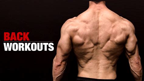 Back Workouts - Best Exercises for Muscle and Strength