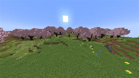 10 best seeds for Cherry Blossom in Minecraft 1.20 Update