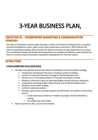 Business 3 Year Plan Template - prntbl.concejomunicipaldechinu.gov.co