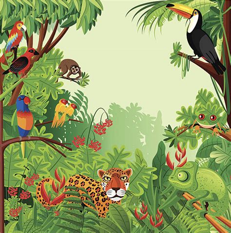 amazon rainforest animals clipart 20 free Cliparts | Download images on ...