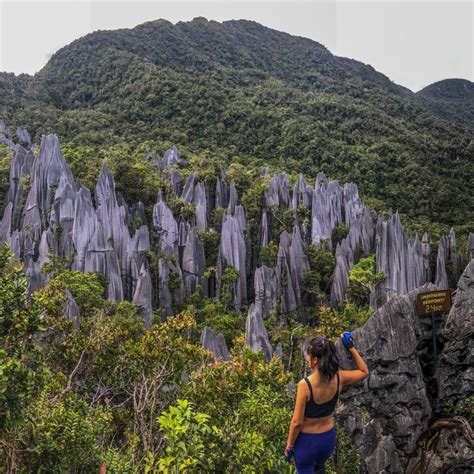 The Gunung Mulu National Park That's Printed On The RM100 Note Is Where ...